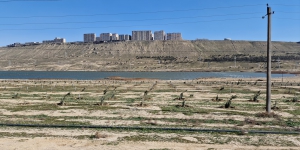 World Water Day: in Azerbaijan, a comprehensive way to help the Khojasan Lake recover