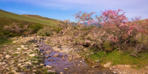 Azerbaijan adopts National Water Strategy to promote integrated water management 