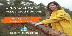 Enhancing Climate Resilience with nature-based solutions: SpongeWorks Call for Associated Regions open to Eastern Partnership countries 