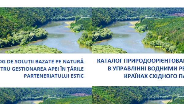 Catalogue of Nature-Based Solutions Now Available in Armenian, Georgian, Romanian, and Ukrainian! 