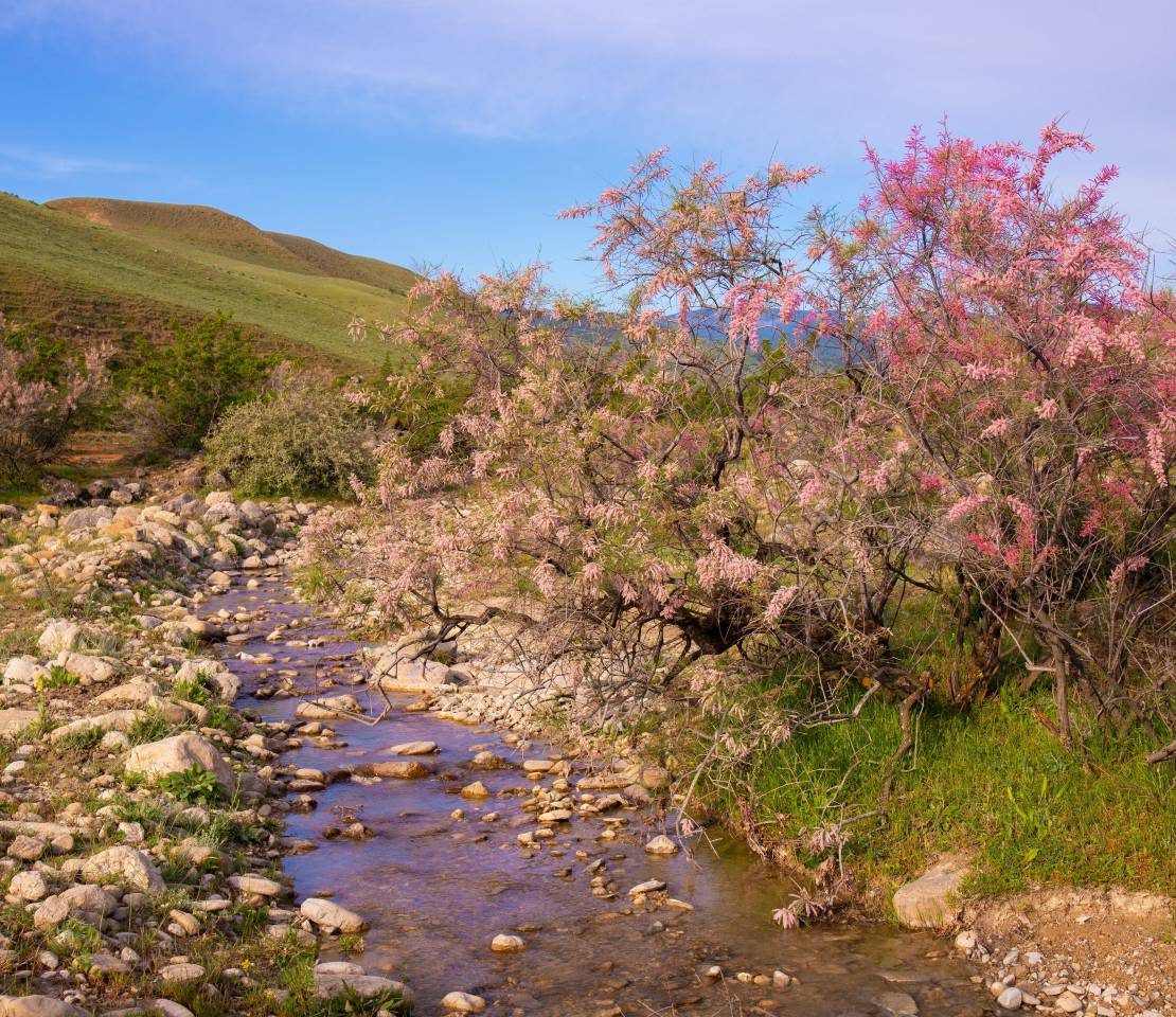 Azerbaijan adopts National Water Strategy to promote integrated water management 