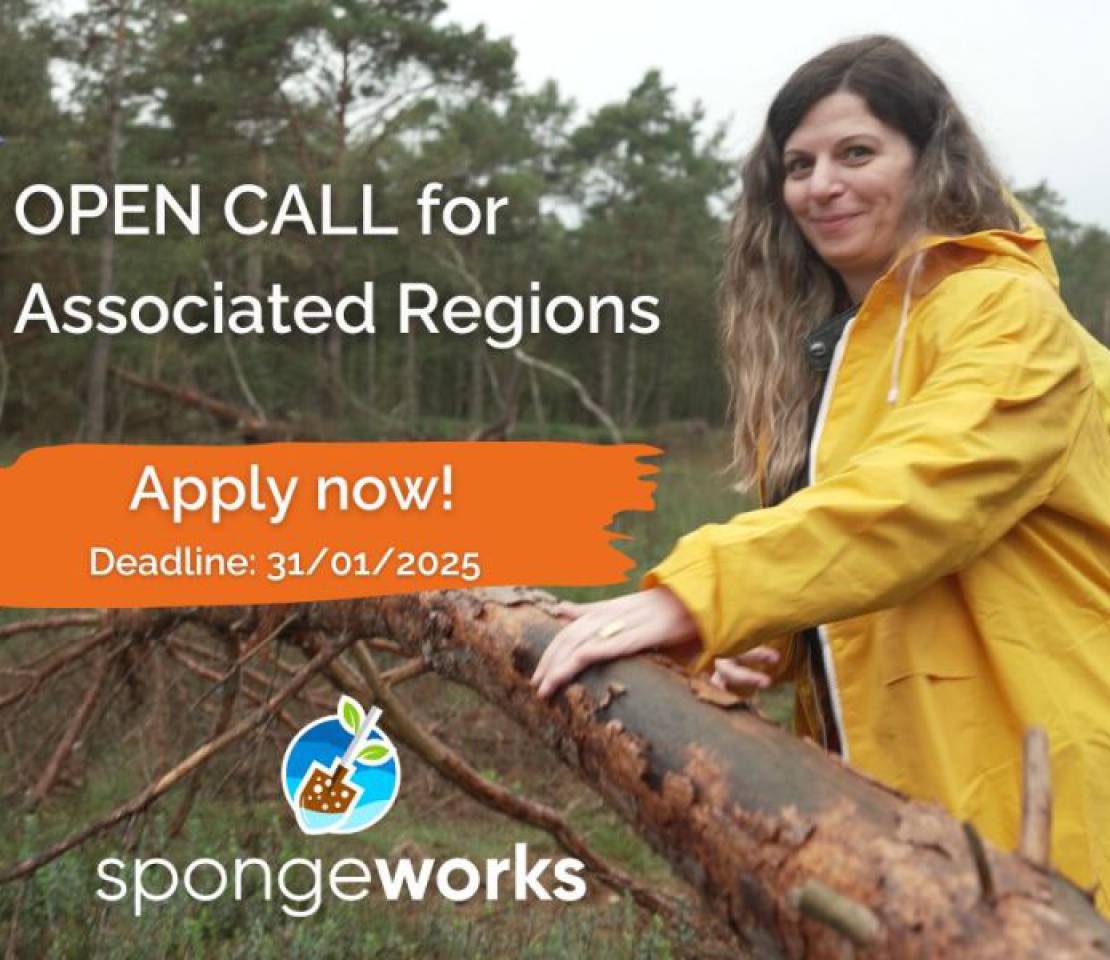 Enhancing Climate Resilience with nature-based solutions: SpongeWorks Call for Associated Regions open to Eastern Partnership countries 